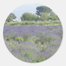 Pesquisar por erva papel de adesivos Lavanda