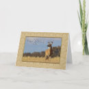 Pesquisar por gravador cartoes Para ele