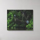 Pesquisar por musgo impressão de canvas Paisagem