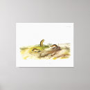Pesquisar por saltos impressão de canvas Ilustração