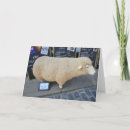 Pesquisar por funny sheep cartoes Animal