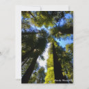 Pesquisar por escuridão cartoes Natureza