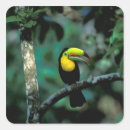 Pesquisar por perfurado adesivos Natureza