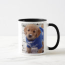 Pesquisar por do golden retriever canecas Filhote de cachorro