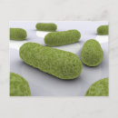 Pesquisar por bactérias cartoes postais Ilustrações biomédicas