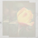Pesquisar por flores amarelas papel timbrado Rosa