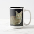 Pesquisar por gatinho do gengibre canecas Alaranjado