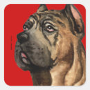 Pesquisar por cane corso adesivos Cão