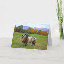 Pesquisar por funny sheep cartoes Birthday