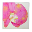 Pesquisar por orquídeas azulejos Elegante