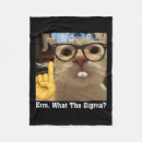 Pesquisar por gato meme Harris walz