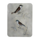 Pesquisar por pares imas Animal