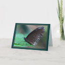 Pesquisar por natureza morta cartoes Perda