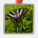 Pesquisar por andorinhas ornamentos Flor