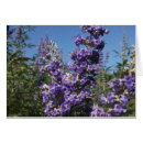 Pesquisar por árvore roxa cartoes Púrpura