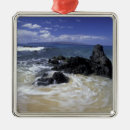 Pesquisar por surf ornamentos Mar