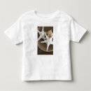 Pesquisar por escudos do mar camisetas Seashell