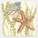 Pesquisar por as artes adesivos Concha