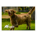 Pesquisar por dedos do pé cartoes postais Qualquer pessoa