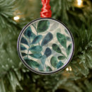 Pesquisar por plantas verdes ornamentos Suculentos
