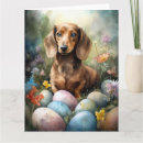 Pesquisar por dachshunds coloridos cartoes Animal