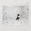 Pesquisar por bizarro cartoes postais Tiro de estúdio