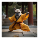 Pesquisar por fu do kung pósteres Shaolin