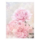 Pesquisar por cravo cor de rosa pôsteres pósteres Flores