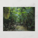 Pesquisar por forest cartoes postais Woods