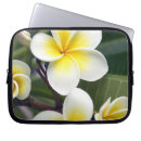 Pesquisar por cook eletronicos Tropical
