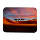 Pesquisar por camel imas Paisagem