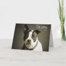 Pesquisar por animal triste cartoes Canino