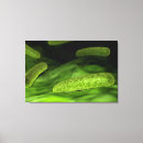 Pesquisar por bactéria impressão de canvas Verde