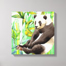 Pesquisar por urso panda impressão de canvas Bambu