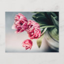 Pesquisar por spring cartoes postais Bouquet