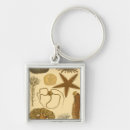 Pesquisar por alga chaveiros Medusa