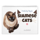 Pesquisar por gato siamese calendarios Felino