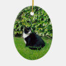 Pesquisar por gatinho preto ornamentos Smoking