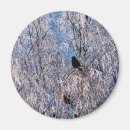 Pesquisar por palhaço imas Natureza