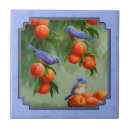 Pesquisar por azul pássaros azulejos Para ela