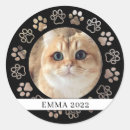 Pesquisar por pets adesivos Para pets