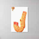 Pesquisar por vertical impressão de canvas Anatomia