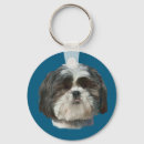 Pesquisar por shih tzu chaveiros Filhote de cachorro