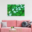 Pesquisar por arbusto impressão de canvas Branco