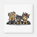 Pesquisar por filhote de cachorro yorkshire terrier Bonito