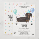 Pesquisar por cães convites Dachshund
