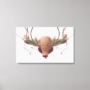 Pesquisar por sistema reprodutivo impressão de canvas Útero