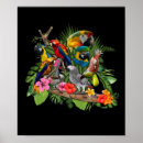 Pesquisar por cockatiel pôsteres pósteres Cockatoo