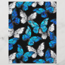 Pesquisar por insetos papel timbrado Azul