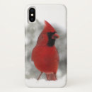 Pesquisar por ornitologia iphone capas Natureza